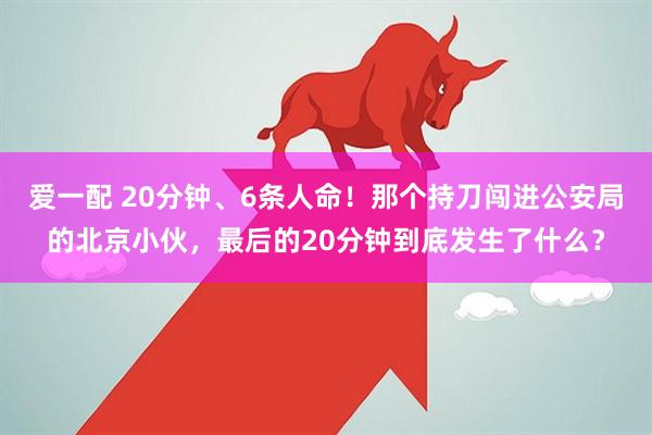 爱一配 20分钟、6条人命！那个持刀闯进公安局的北京小伙，最后的20分钟到底发生了什么？