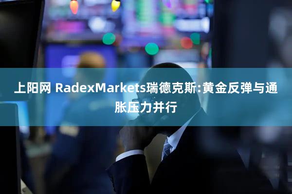 上阳网 RadexMarkets瑞德克斯:黄金反弹与通胀压力并行